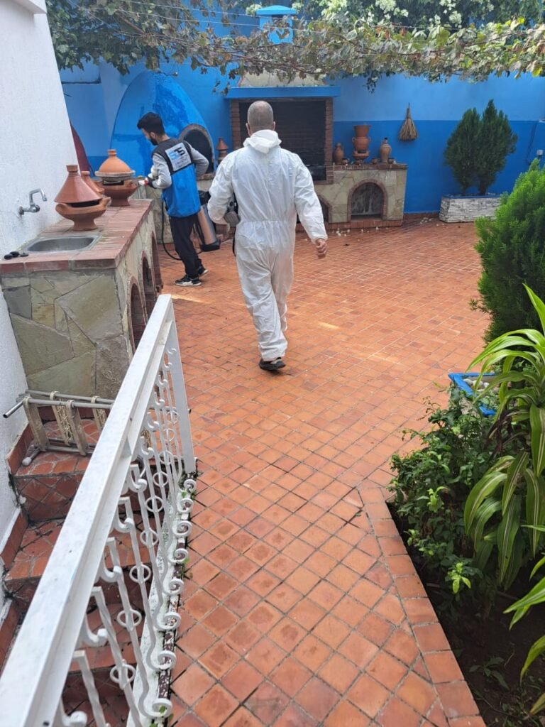 Équipe SDS NORD MAROC en intervention dans le patio d’une villa à Tanger