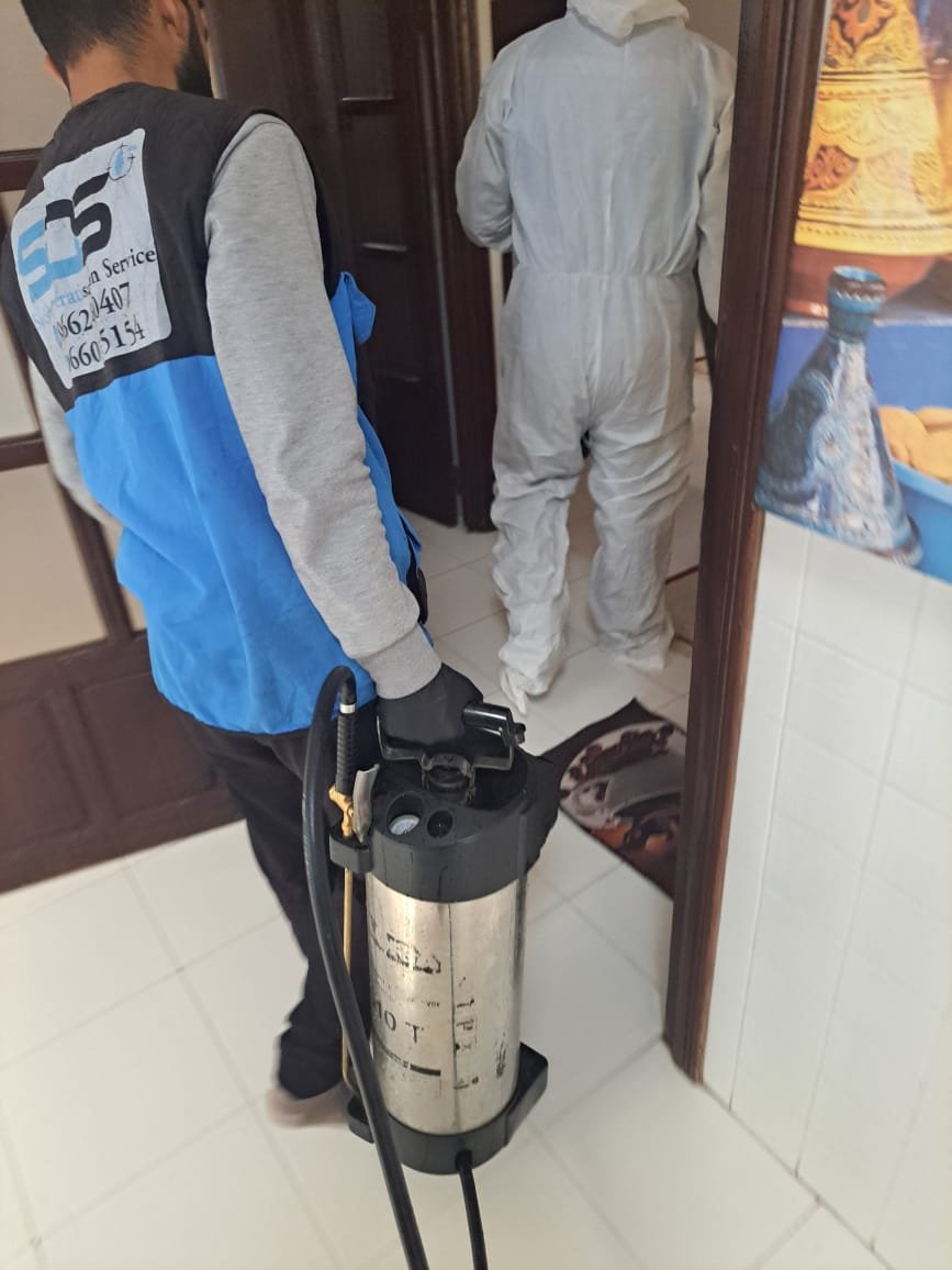 Techniciens SDS NORD MAROC équipés d'un pulvérisateur pendant une intervention à Tanger