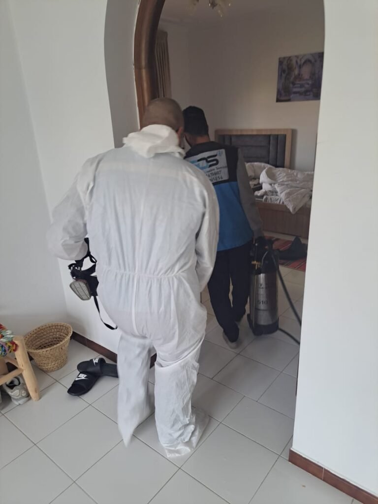Traitement insecticide d’une chambre dans une maison à Tanger